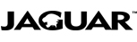 Jaguar Logo